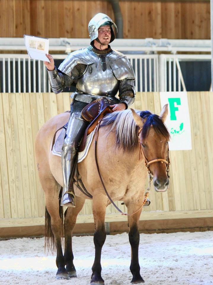 Cavalier à l'étude