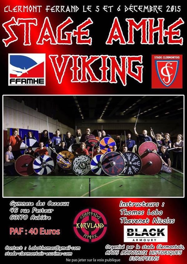 Stage AMHE Vikings